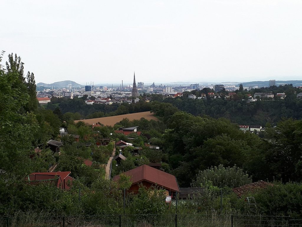 Blick über die Stadt vom Zoo Linz