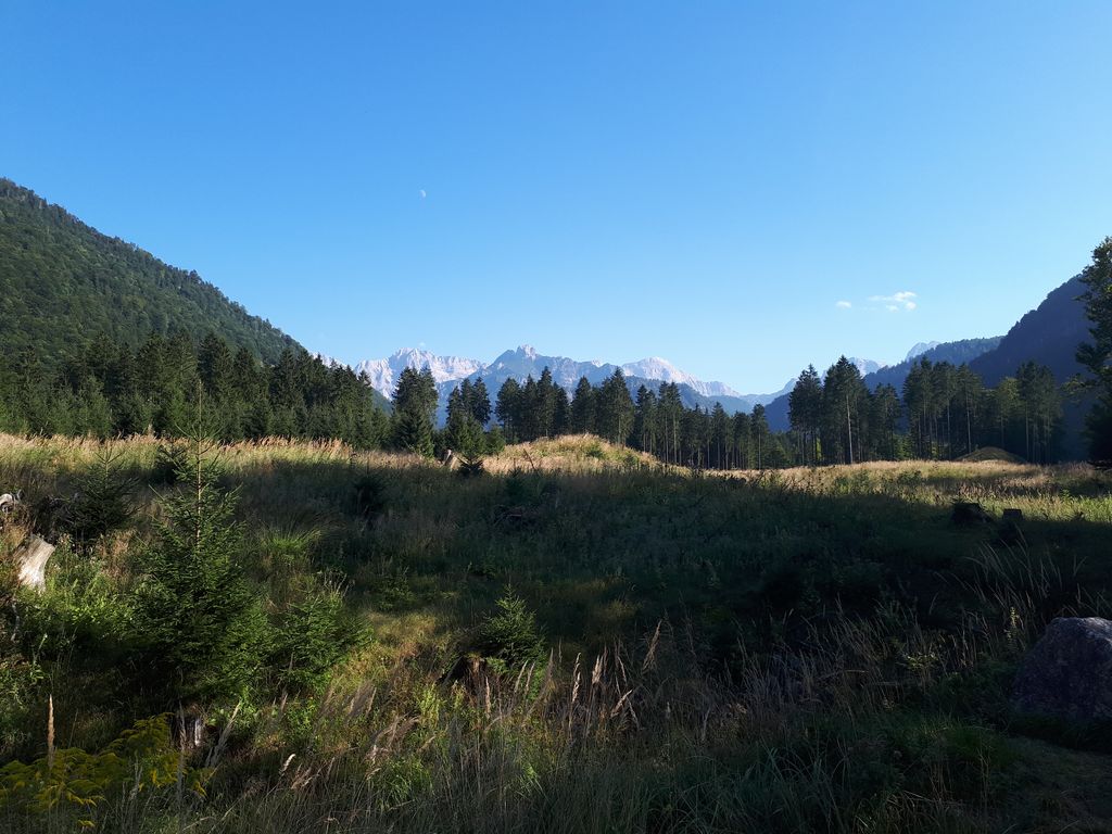 Das Tote Gebirge vom Wildpark Grünau aus gesehen