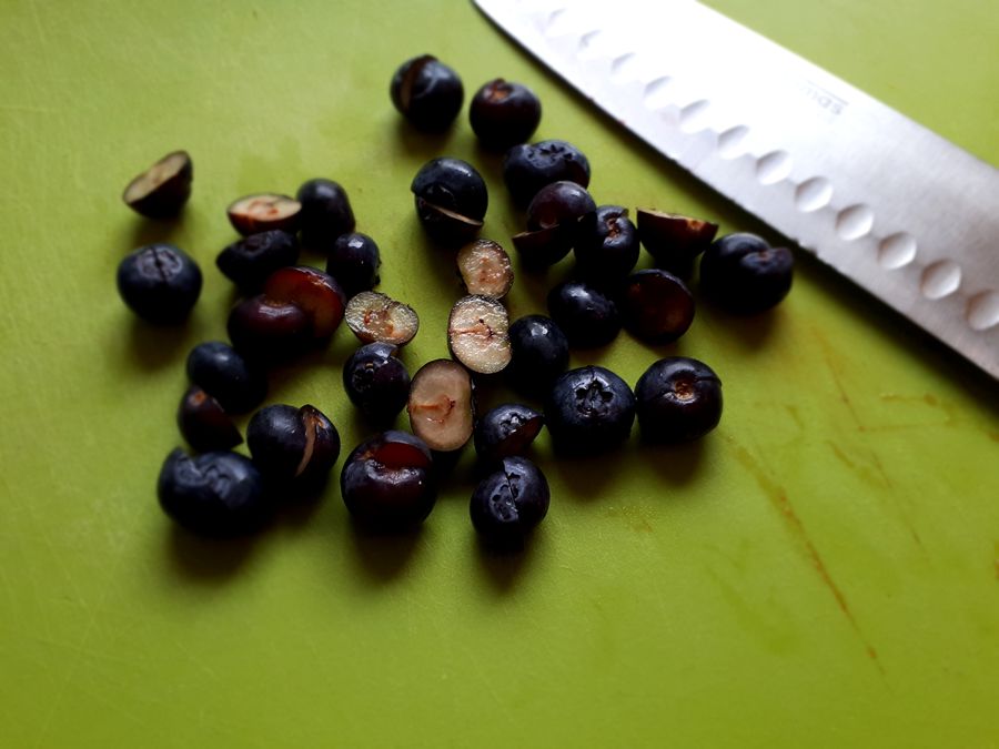 Heidelbeeren für BLW Frühstück