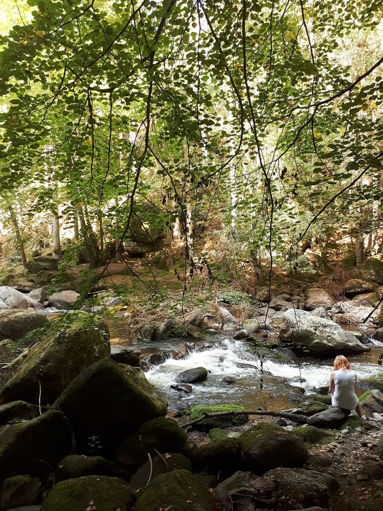 Naturbild aus dem Aisttal. 