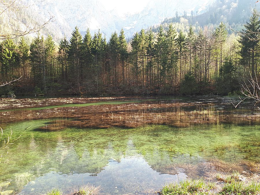 Panorama beim Langbathsee