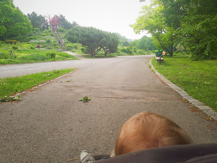 Spaziergang im Kurpark Oberlaa Wien