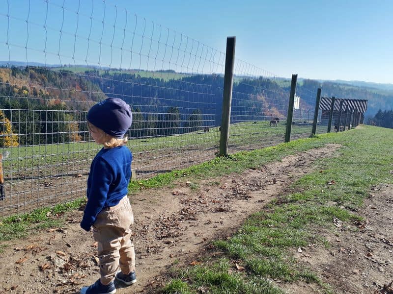 Tierpark Altenfelden Ausflugsziel