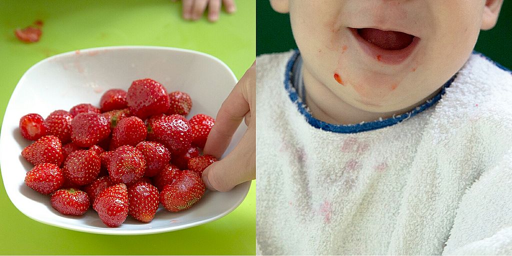 Erdbeeren Lebensmittel für BLW