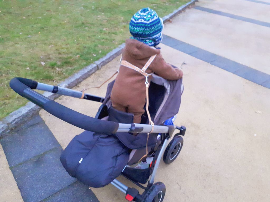 Stehen im Kinderwagen Papablog