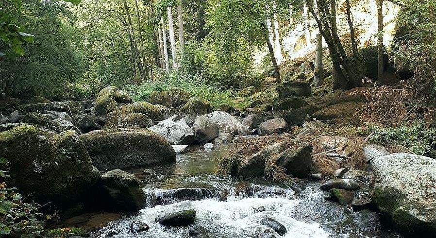 Wald und Fluss im Aisttal