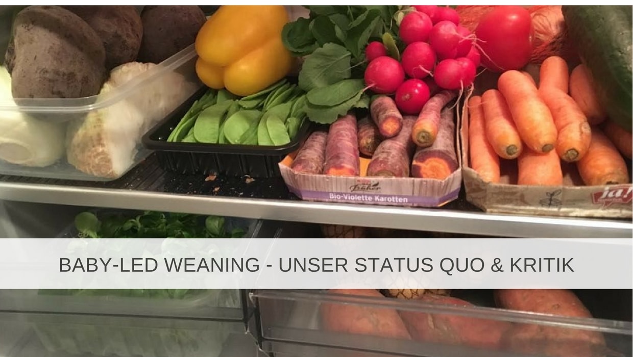 Baby-led Weaning unser Status Quo