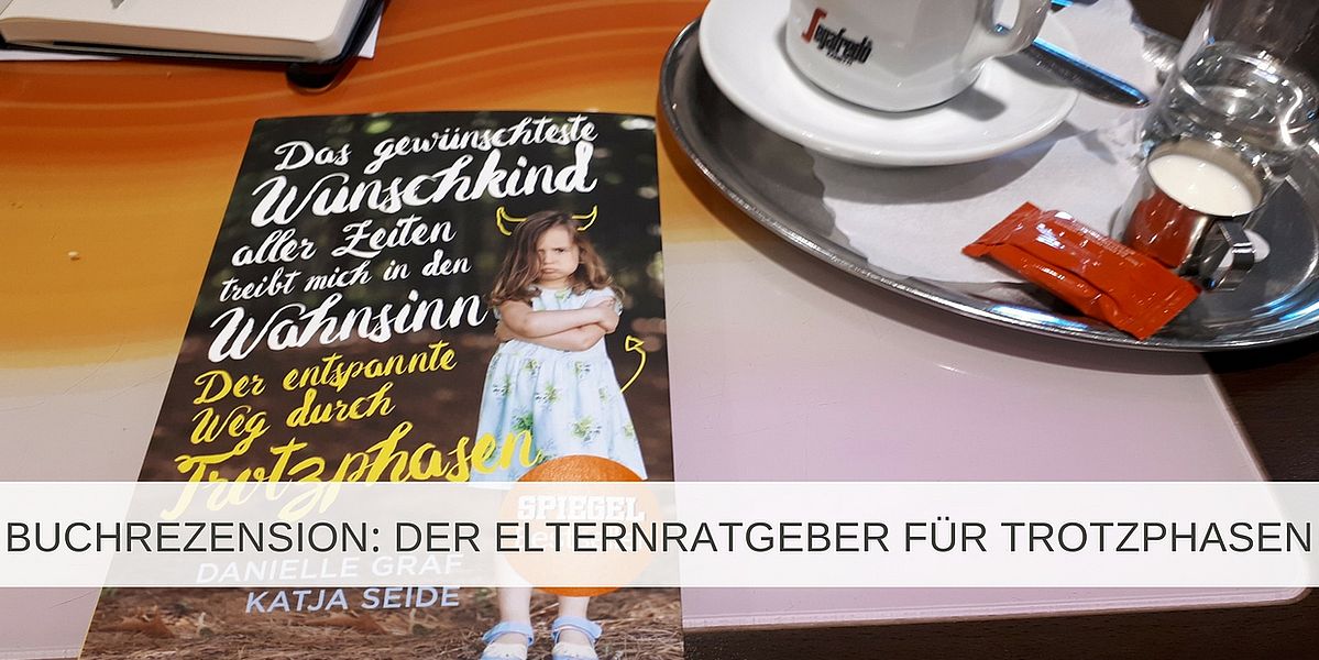 Buchrezension Elternratgeber für Trotzphasen - Papablog