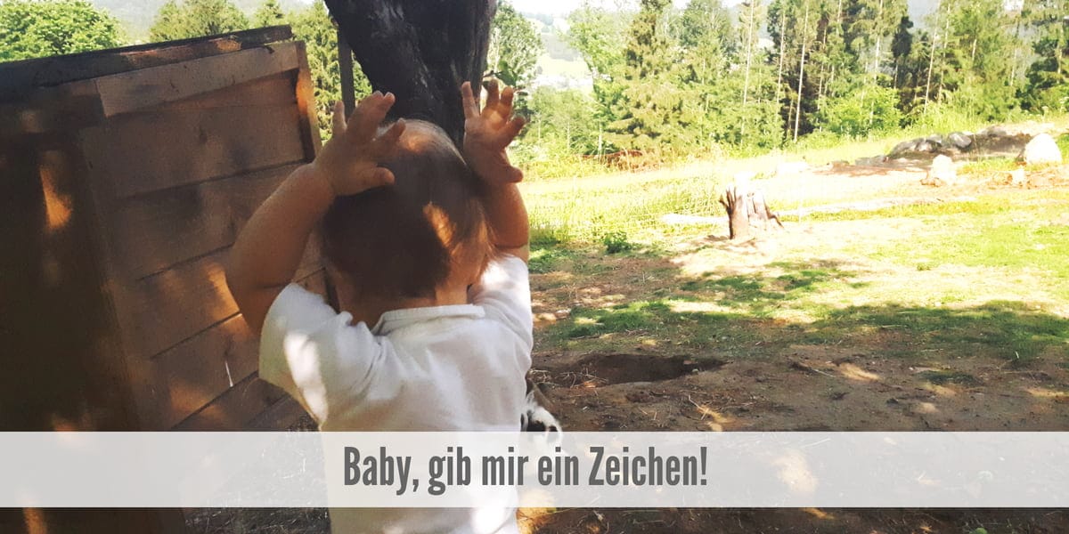 Babyzeichen Babygebärdensprache Zwergensprache