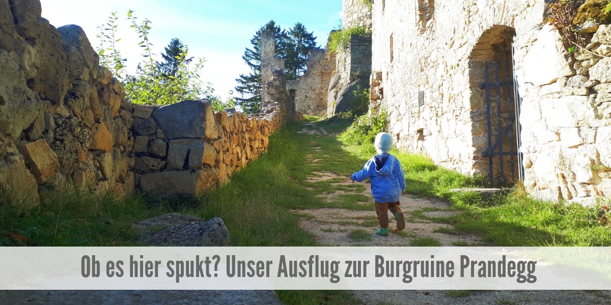 Burgruine Prandegg Ausflugsziel Oberösterreich