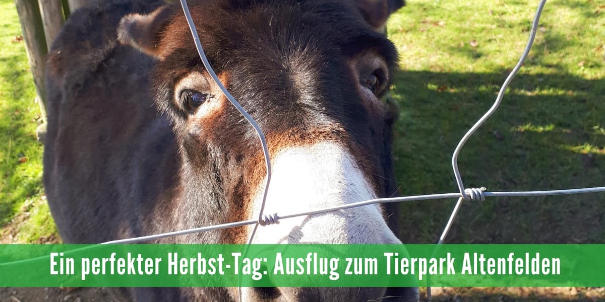 Tierpark Altenfelden Ausflugsziel